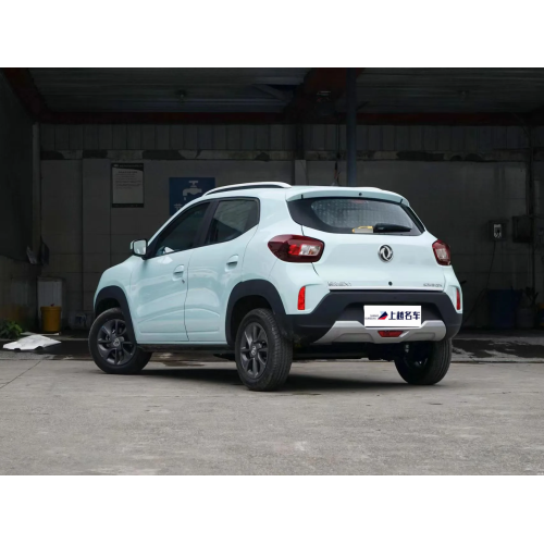 Dongfeng Nami Box New New Energy автомобиль 4 -колесный электромобиль для взрослых автомобиль EV автомобиль
